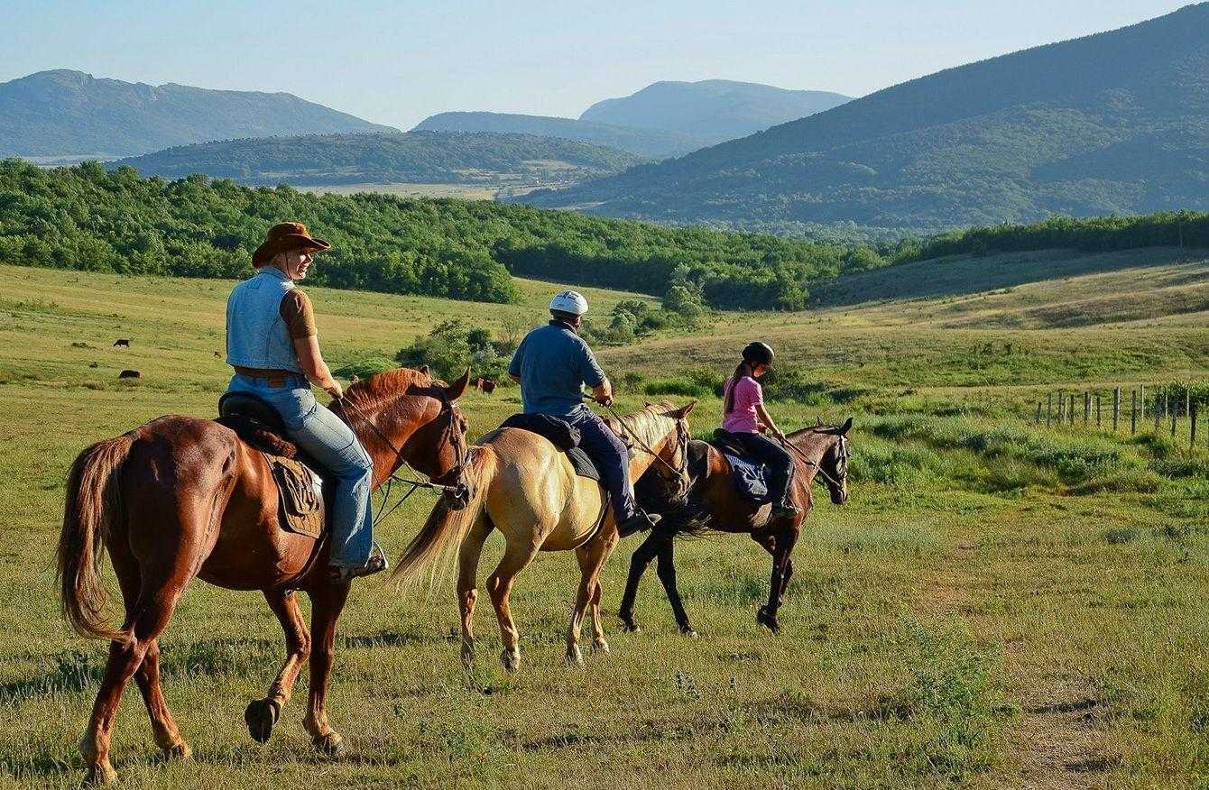 Cosmos Collection Altay Resort Алтай -сайт бронирования.